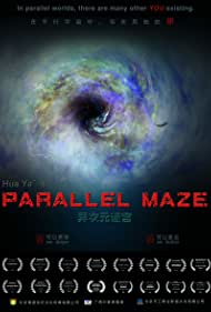 Parallel Maze 2013 poster