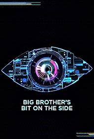 Big Brother's Bit on the Side (2011) cover