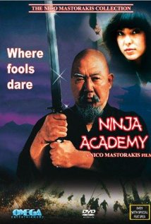 Ninja Academy 1989 poster
