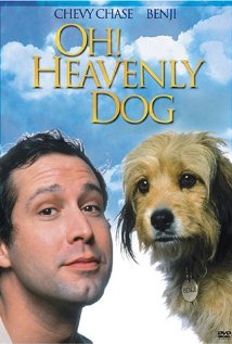 Oh Heavenly Dog 1980 copertina