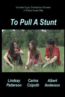 To Pull a Stunt 2013 poster