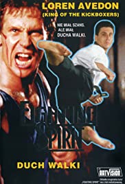 Fighting Spirit (1992) cover