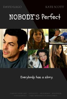 Nobody's Perfect (2015) cover