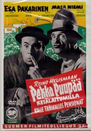 Pekka Puupää (1953) cover