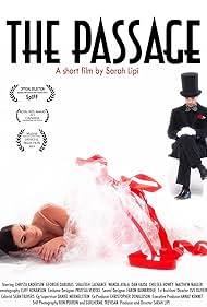 The Passage (2013) cover