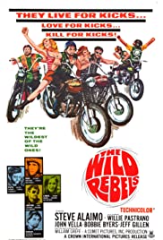 Wild Rebels 1967 poster