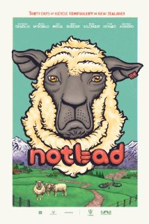 NotBad 2013 poster
