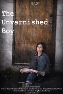 The Unvarnished Boy (2010) cover