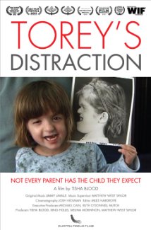 Torey's Distraction 2009 copertina