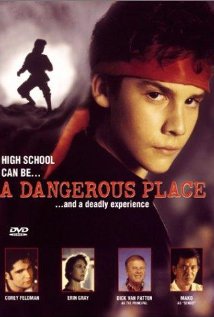 A Dangerous Place (1994) cover