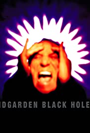 Black Hole Sun 1994 capa