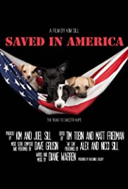 Saved in America 2015 copertina