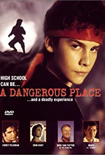 A Dangerous Place 1995 capa