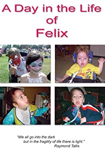 A Day in the Life of Felix (2008) cover