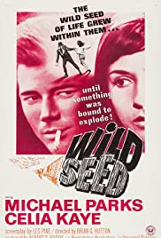 Wild Seed 1965 poster