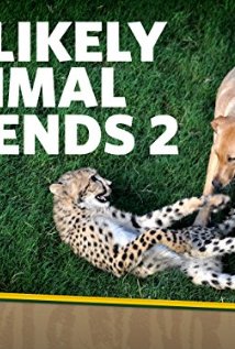 Unlikely Animal Friends 2012 poster