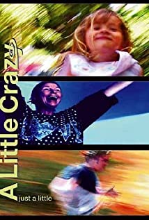 A Little Crazy (2003) cover