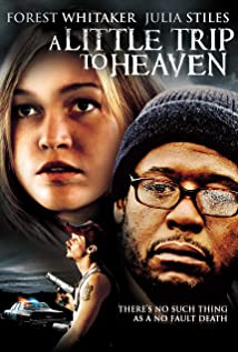 A Little Trip to Heaven 2005 capa