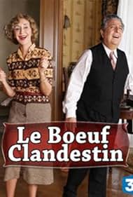 Le Boeuf clandestin (2013) cover