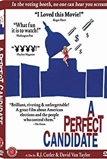 A Perfect Candidate 1996 poster