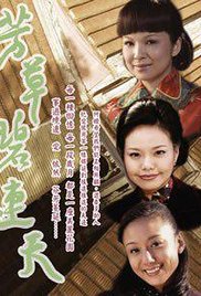 Fang cao bi lian tian 2009 poster