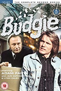 Budgie 1971 poster