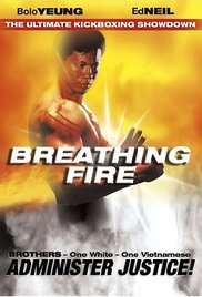 Breathing Fire 1991 capa