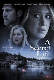 His Secret Family (2015) cover