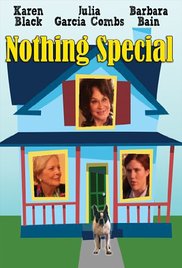 Nothing Special (2010) cover
