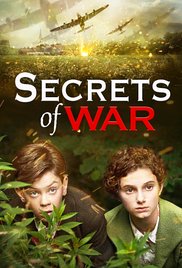 Oorlogsgeheimen (2014) cover