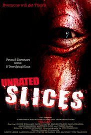Slices 2008 poster
