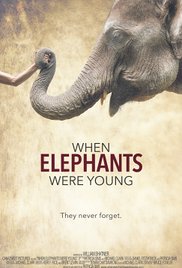 When Elephants Were Young 2016 copertina