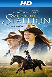Midnight Stallion (2013) cover