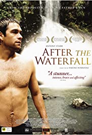 After the Waterfall 2010 copertina
