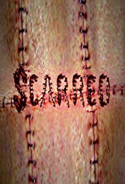 Scarred 2007 poster