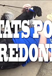 AP Stats Police: Fredonia (2016) cover