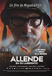Allende en su laberinto 2014 copertina