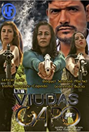 Las Viudas del Capo (2016) cover