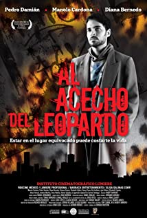 Al Acecho del Leopardo (2011) cover