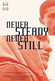 Never Steady, Never Still 2015 copertina