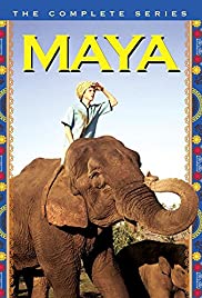 Maya (1967) cover