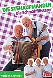 Die Stehaufmandln - Die Schmähflüsterer (2015) cover
