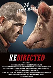 Redirected (2014) cover