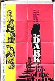 The Dark at the Top of the Stairs (1960) cover