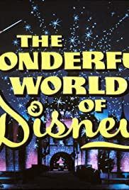 The Wonderful World of Disney 1995 poster