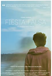 Fiesta falsa 2013 copertina