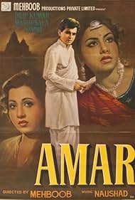 Amar (1954) cover