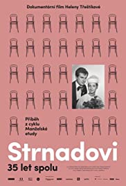 Strnadovi (2017) cover