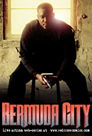 Bermuda City (2013) cover