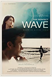 The Perfect Wave (2015) cover